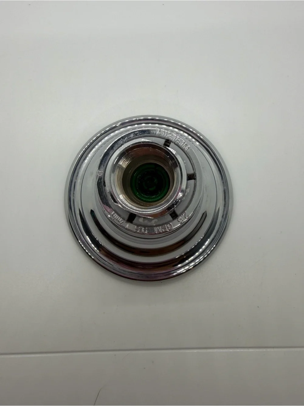 Moen Chrome Showerhead with Taupe Spray Face